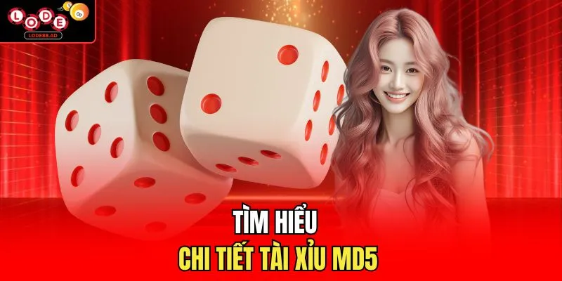 Tìm hiểu chi tiết tài xỉu MD5