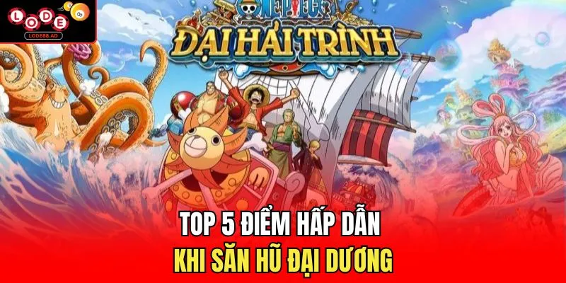 TOP 5 điểm hấp dẫn khi săn hũ đại dương